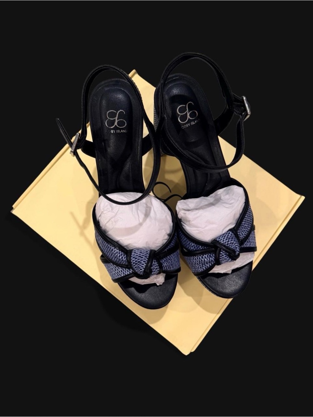 NIB | Cosy Island Elegance Raffia Platform Sandals in Blue Size 6.5